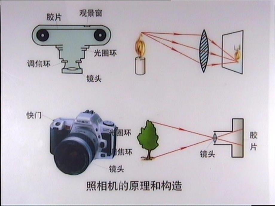 (课堂教学课件）八年级物理上册《52 生活中的透镜》课件 (3)_第4页