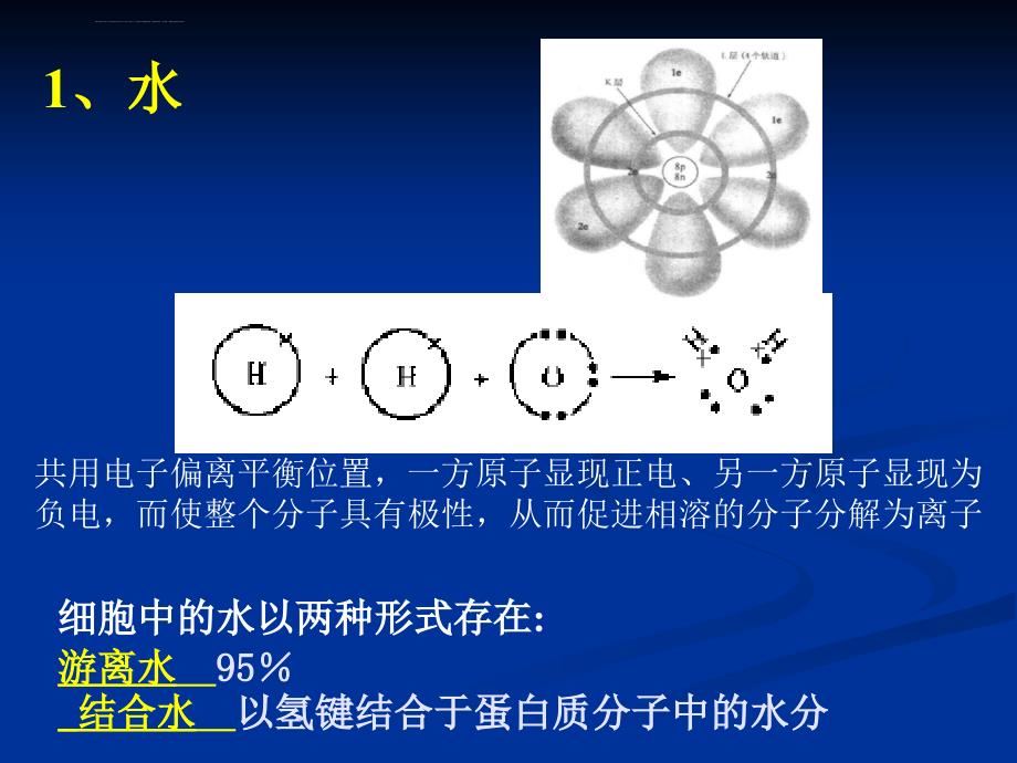 医学生物学期末复习第三章 生命的物质基础课件_第2页