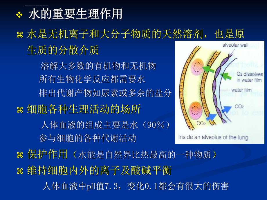 医学生物学期末复习第三章 生命的物质基础课件_第3页