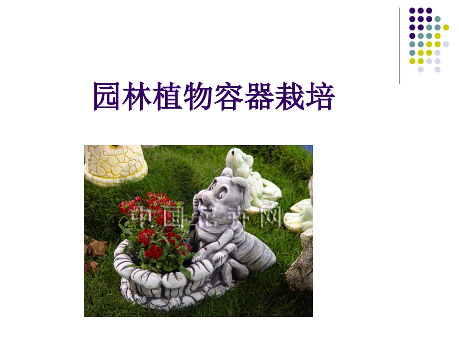 园林植物容器栽培课件_第1页