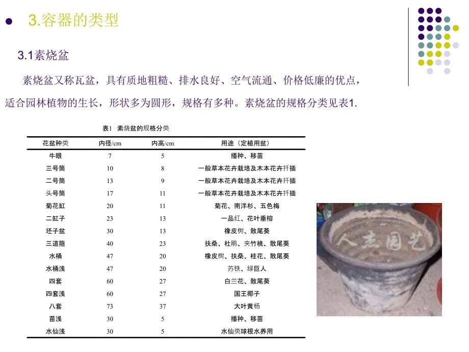 园林植物容器栽培课件_第5页