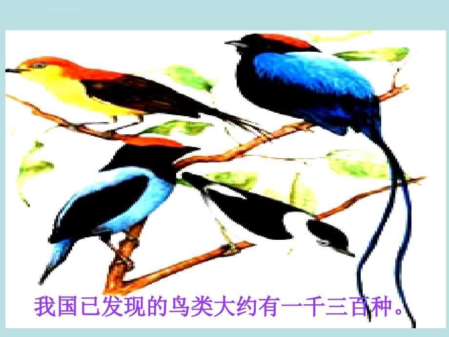 北师大版小学数学二年级下册《数一数生活中的大数》课件_第5页