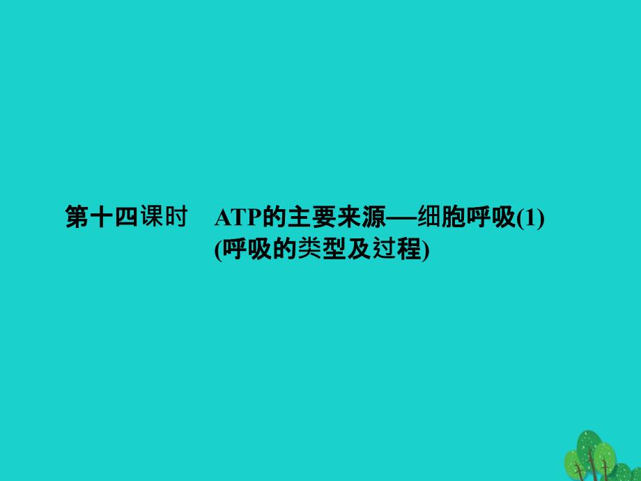 高考生物一轮总复习 第五章 细胞的能量供应和利用 5.2 ATP的主要来源—细胞呼吸（1）（呼吸的类型及过程）优质课件 新人教版必修1_第1页