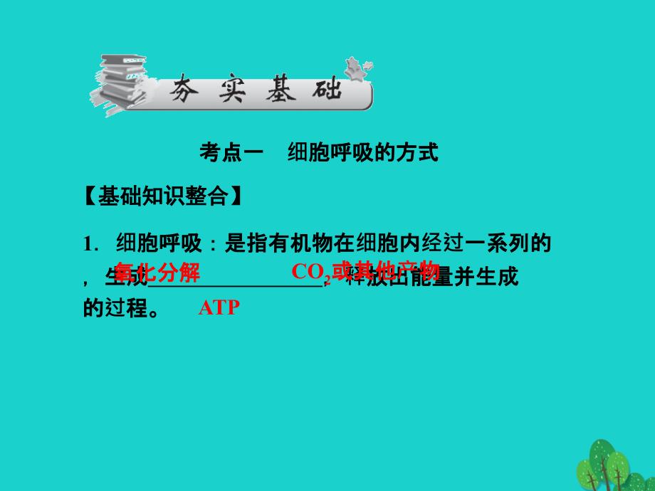 高考生物一轮总复习 第五章 细胞的能量供应和利用 5.2 ATP的主要来源—细胞呼吸（1）（呼吸的类型及过程）优质课件 新人教版必修1_第2页