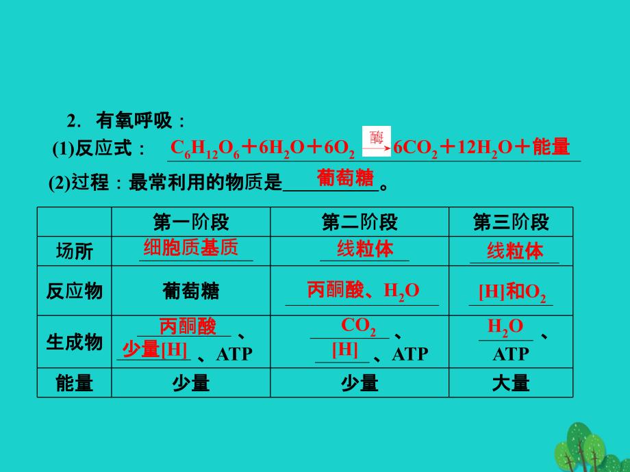 高考生物一轮总复习 第五章 细胞的能量供应和利用 5.2 ATP的主要来源—细胞呼吸（1）（呼吸的类型及过程）优质课件 新人教版必修1_第3页