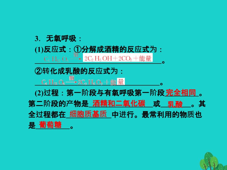 高考生物一轮总复习 第五章 细胞的能量供应和利用 5.2 ATP的主要来源—细胞呼吸（1）（呼吸的类型及过程）优质课件 新人教版必修1_第4页