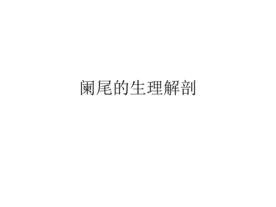 阑尾的解剖PPT_第1页