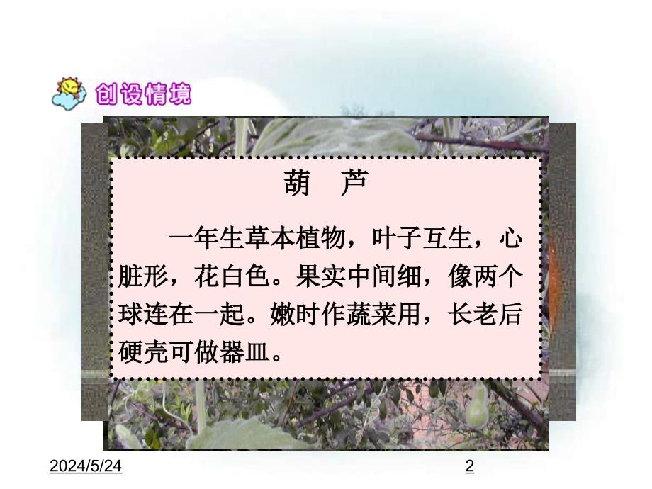 (课堂教学课件）部编版二年级上册语文（课堂教学课件4）我要的是葫芦_第2页