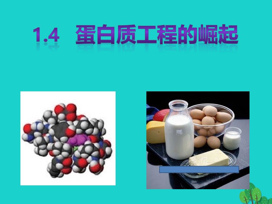 高中生物 专题1 基因工程 1.4 蛋白质的崛起专题课件 新人教版选修3_第1页