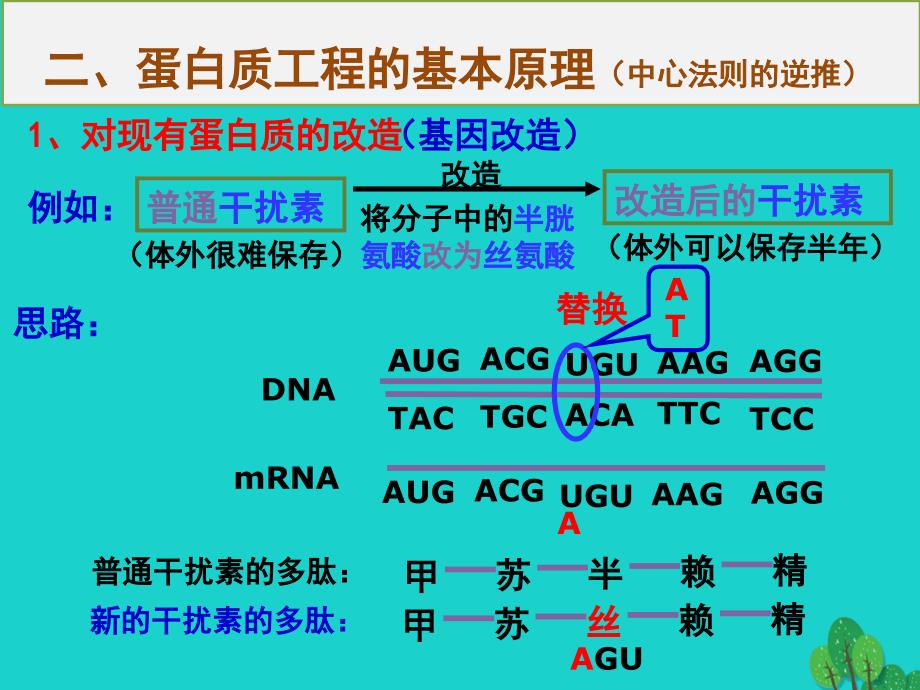 高中生物 专题1 基因工程 1.4 蛋白质的崛起专题课件 新人教版选修3_第4页