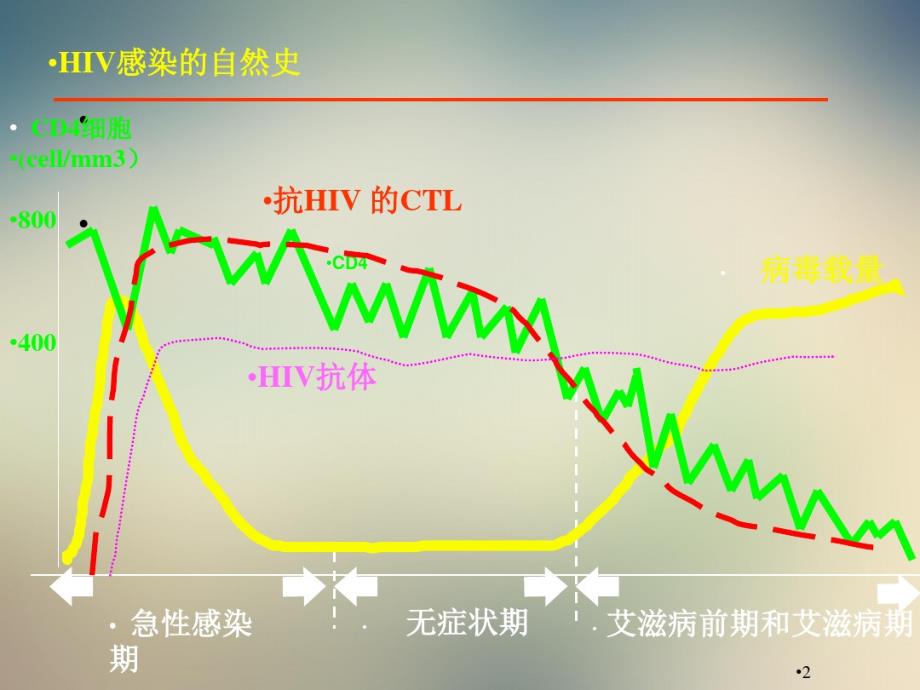 艾滋病自然史诊断与分期_第2页