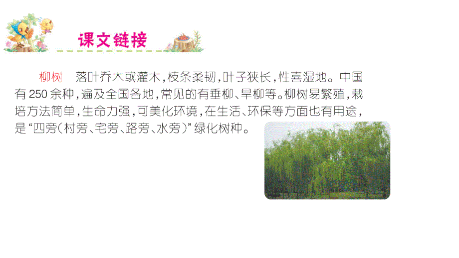 (课堂教学课件）部编版语文课件7.一匹出色的马 课件_第2页