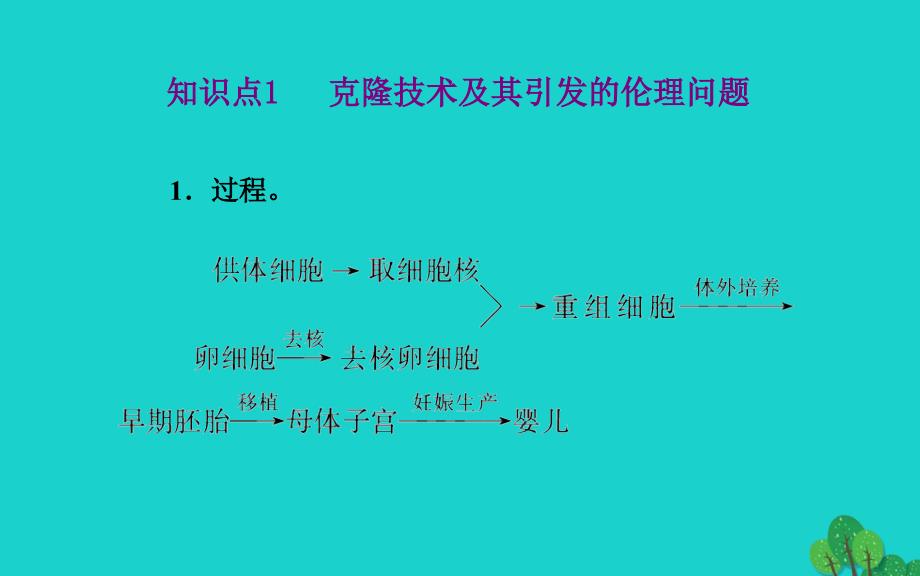 高中生物 专题4 生物技术的安全性和伦理问题 第2节 关注生物技术的伦理问题专题讲解课件 新人教版选修3_第4页