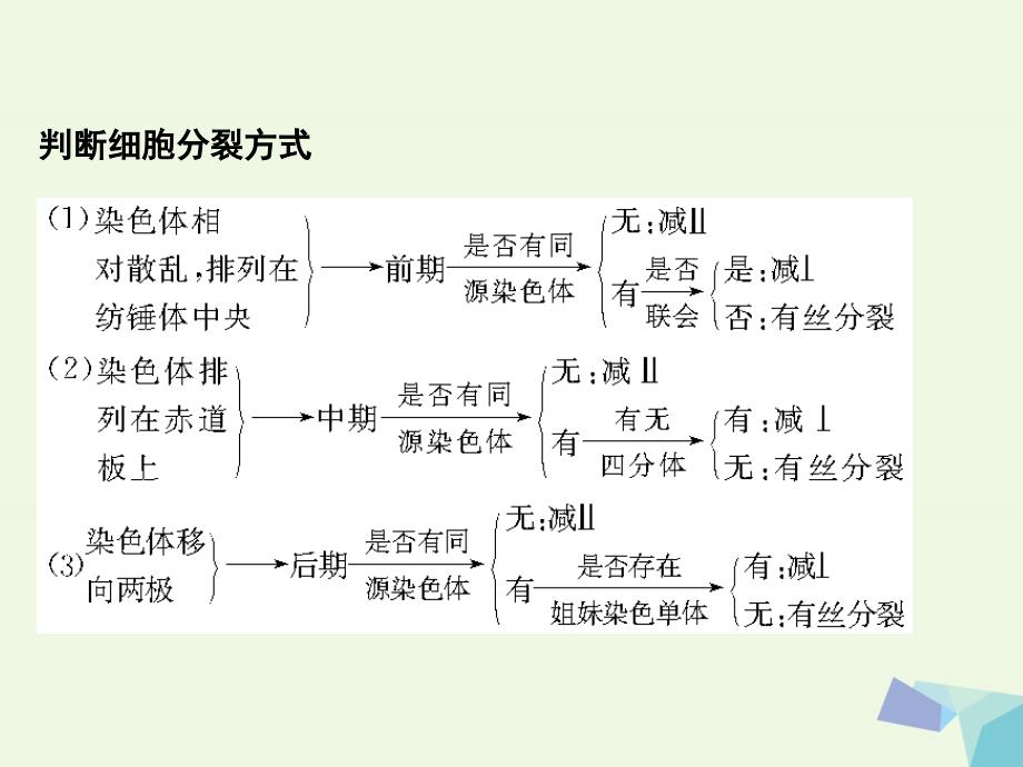 江苏省赣榆县2017届高考生物一轮复习 专题5 细胞增殖与受精作用课件 苏教版_第3页