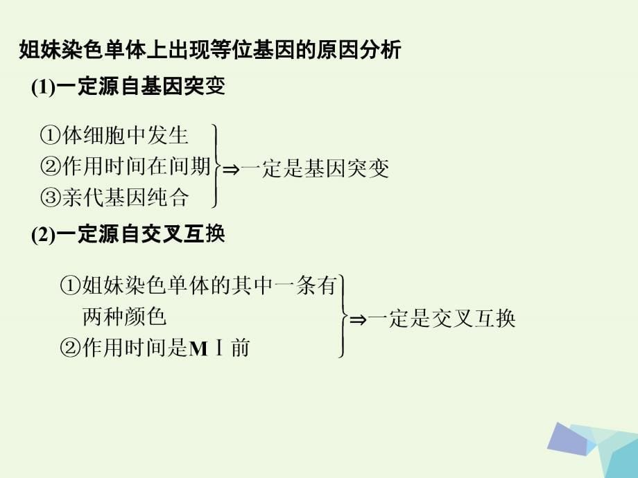 江苏省赣榆县2017届高考生物一轮复习 专题5 细胞增殖与受精作用课件 苏教版_第5页