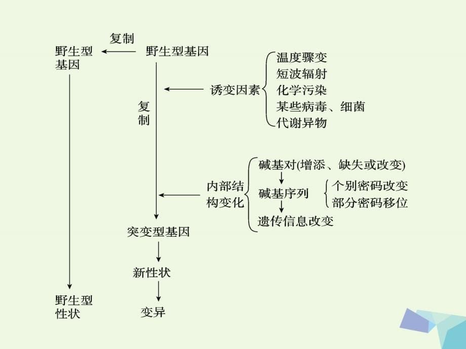 江苏省赣榆县2017届高考生物一轮复习 专题九 遗传变异、育种与进化课件 苏教版_第5页