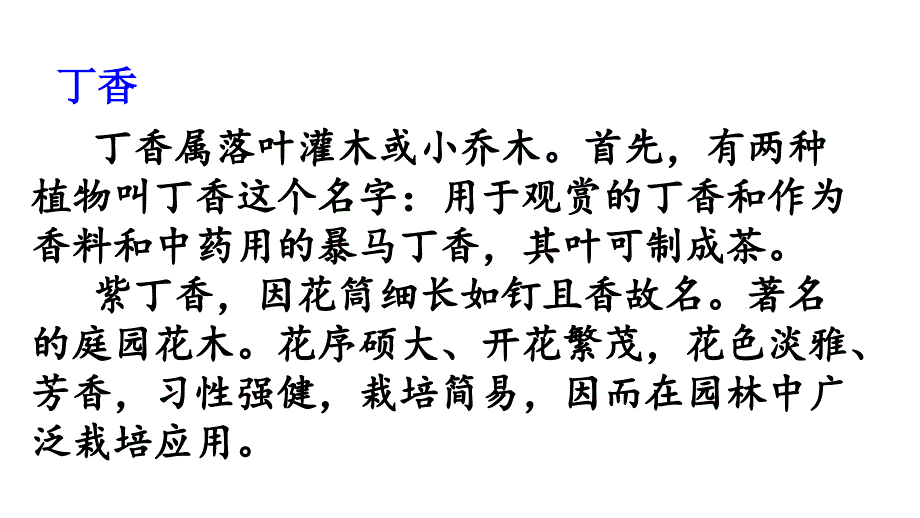 最新部编版小学六年级上册语文2 丁香结精品课件_第4页