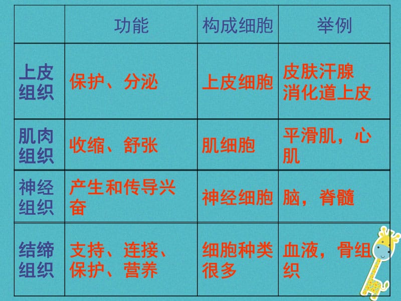 2017-2018学年七年级生物上册 第二单元 第二章 第三节 植物体的结构层次课件 （新版）新人教版_第2页