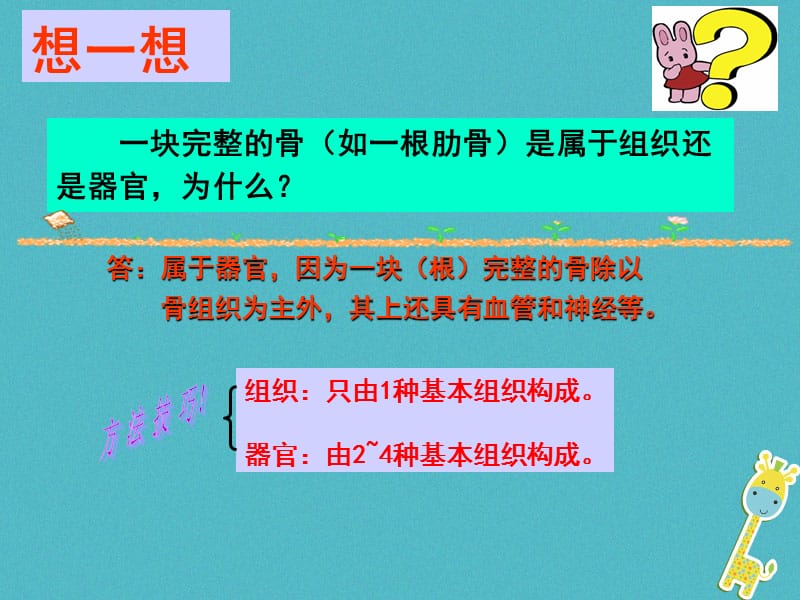 2017-2018学年七年级生物上册 第二单元 第二章 第三节 植物体的结构层次课件 （新版）新人教版_第4页