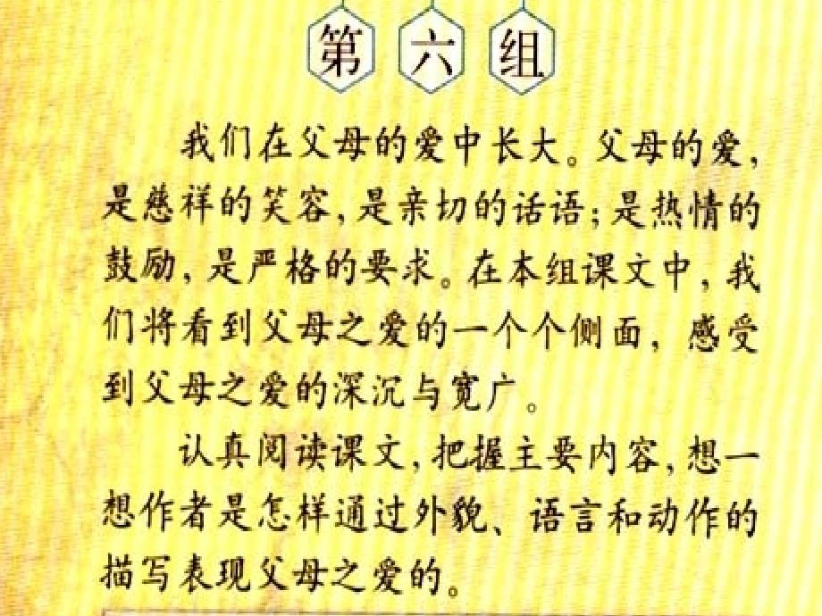 (课堂教学课件）部编版语文课件地震中的父与子（自备）_第1页