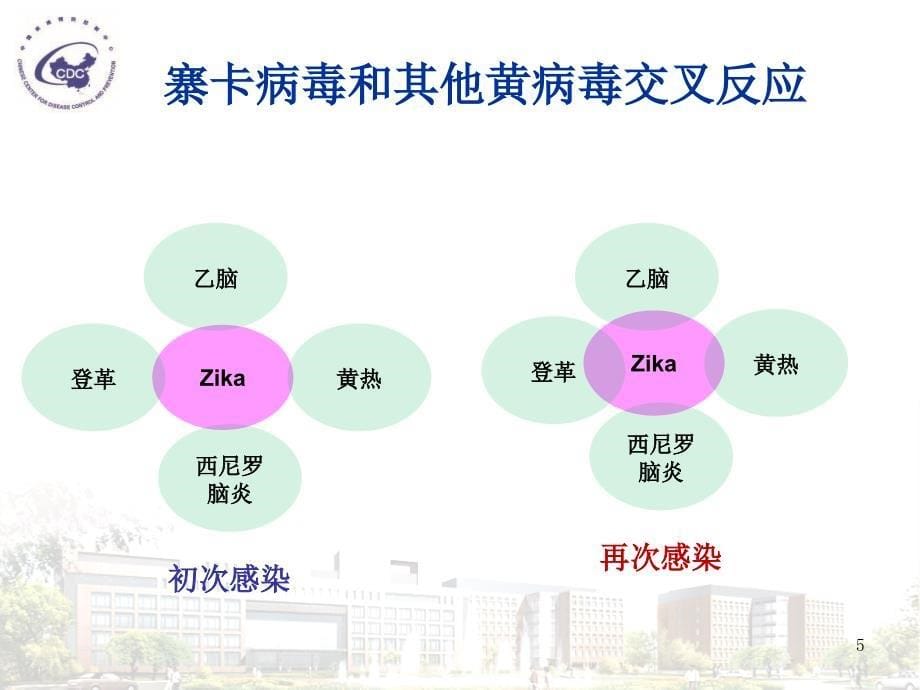 寨卡病毒和寨卡病毒病疫情-文档资料_第5页