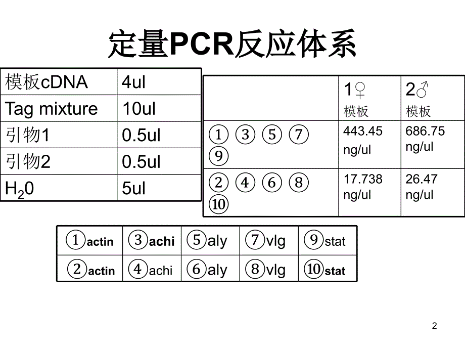 荧光定量PCR原理及操作步骤-文档资料_第2页