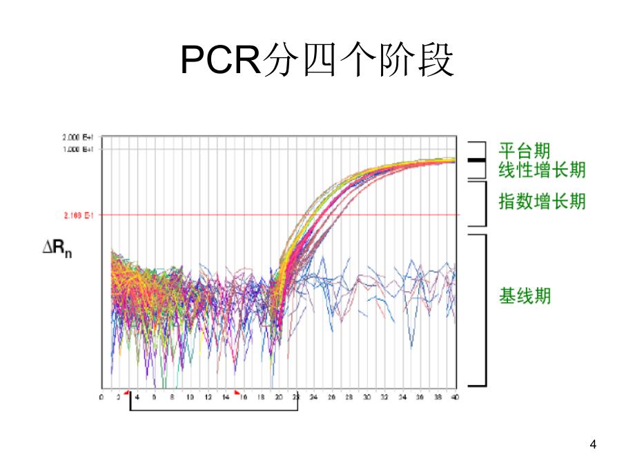 荧光定量PCR原理及操作步骤-文档资料_第4页