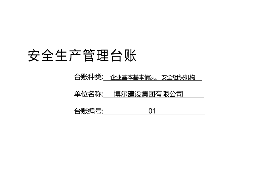 (2020年){安全生产管理}某建设集团安全生产管理台账_第4页