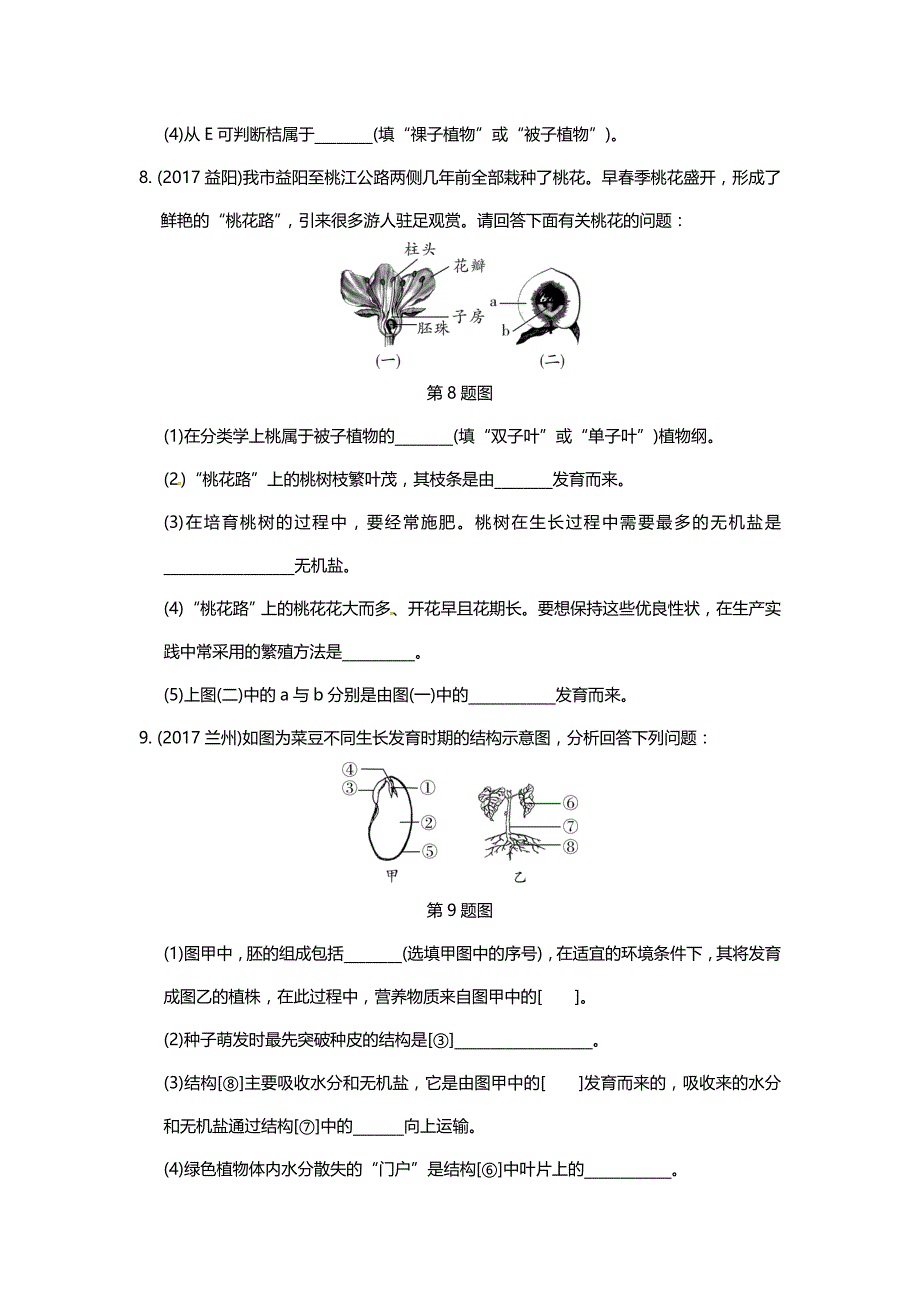 2019中考生物重难点突破--绿色植物的各结构及生理作用_第4页