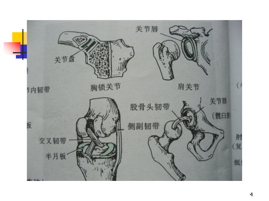 关节活动度训练ROM训练-文档资料_第4页