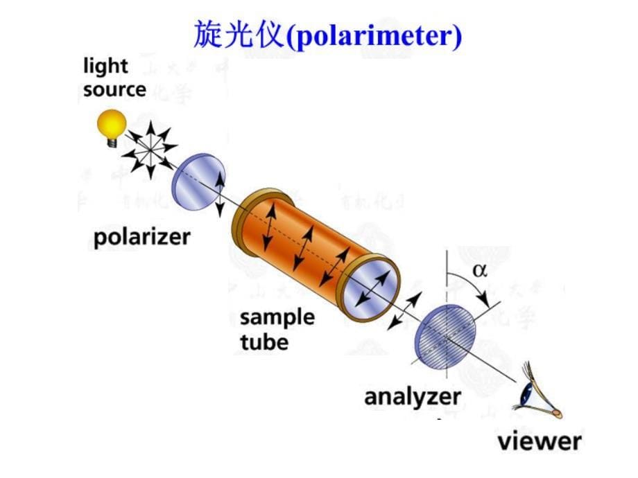 手性分子与旋光异构课件_第5页