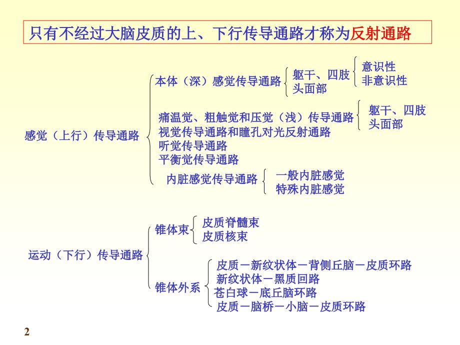 神经系统传导路-文档资料_第2页