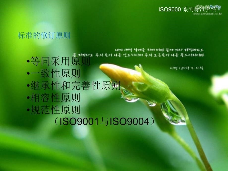 ISO9000族简介精编版_第5页