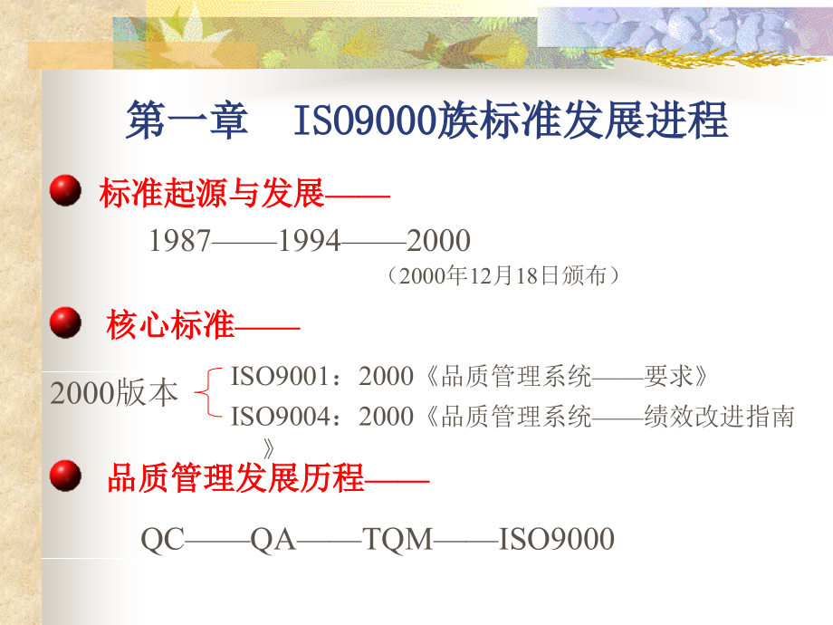 ISO9000族标准发展进程--wangfei081024精编版_第2页