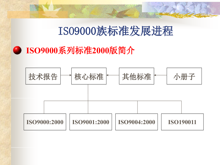 ISO9000族标准发展进程--wangfei081024精编版_第3页