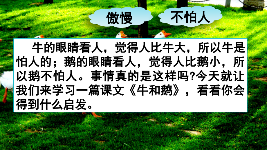 【部编四上语文】18 牛和鹅 课件PPT（2套）_第3页