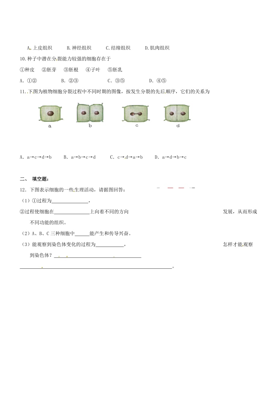 2019年苏教版七年级上生物3-3细胞的分裂与分化同步练习【含答案】_第2页