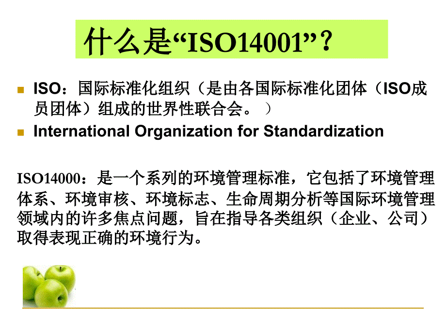 ISO14001基础知识培训教材精编版_第3页