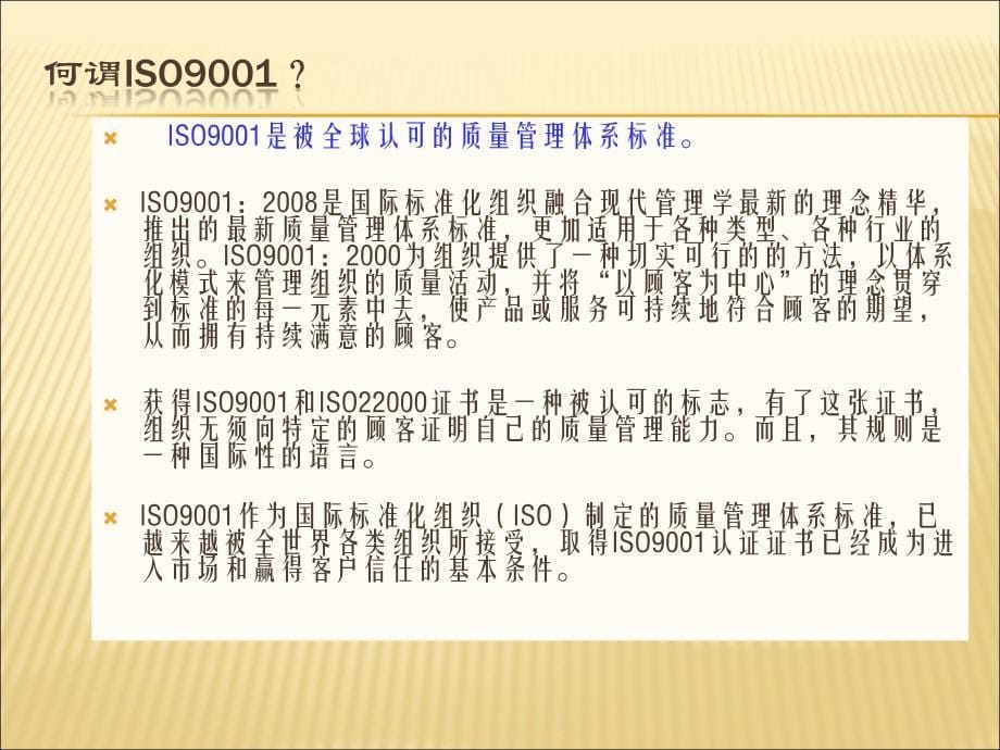 ISO9000质量管理体系精编版_第5页