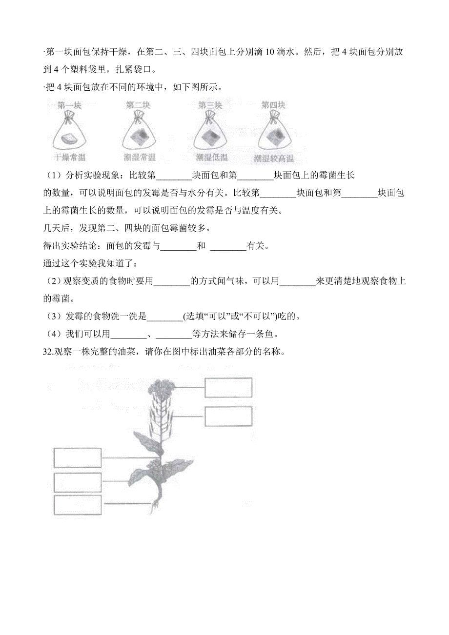 教科版四年级下册科学试题-期末过关检测密卷(三)（含解析）_第5页