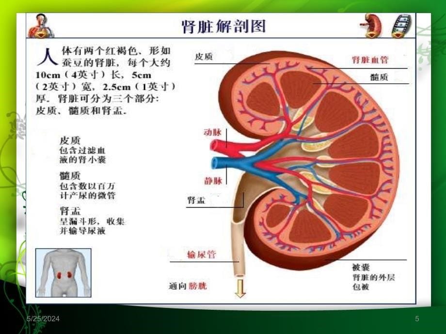 慢性肾功能衰竭的护理-文档资料_第5页