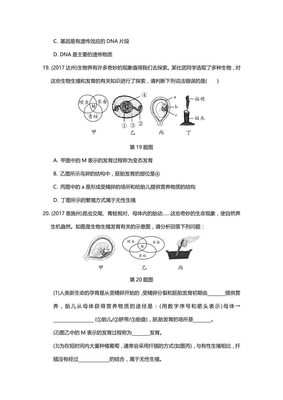 2018届中考生物重点专题突破：专题七　生物的生殖、发育与遗传_第5页