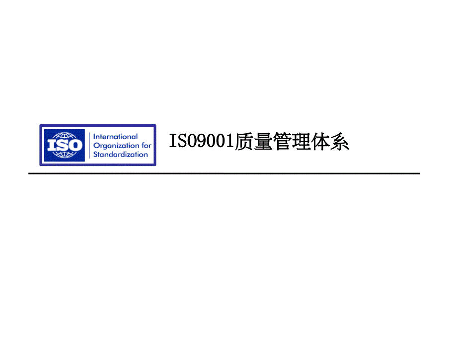 ISO9001质量管理体系1精编版_第1页