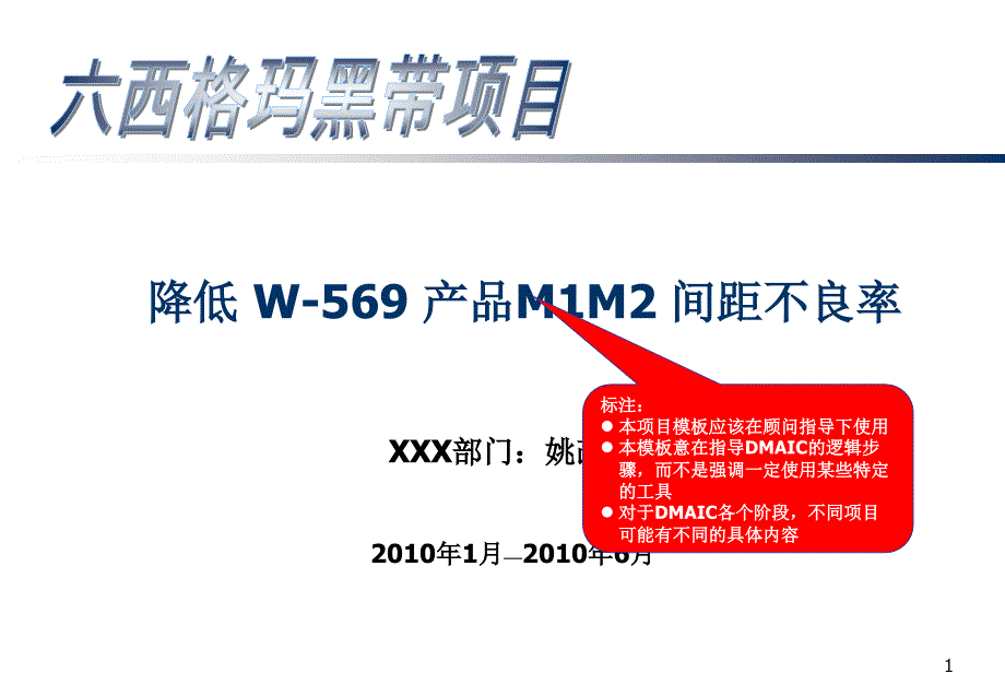 DMAIC_Project_Template_范例(六西格玛流程指导)精编版_第1页
