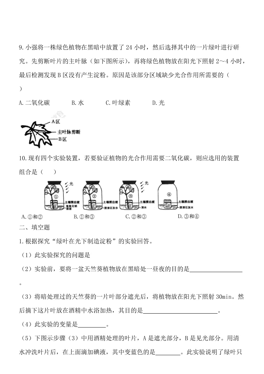 2019年苏教版七年级上生物6-3植物光合作用的实质同步练习【含答案】_第3页