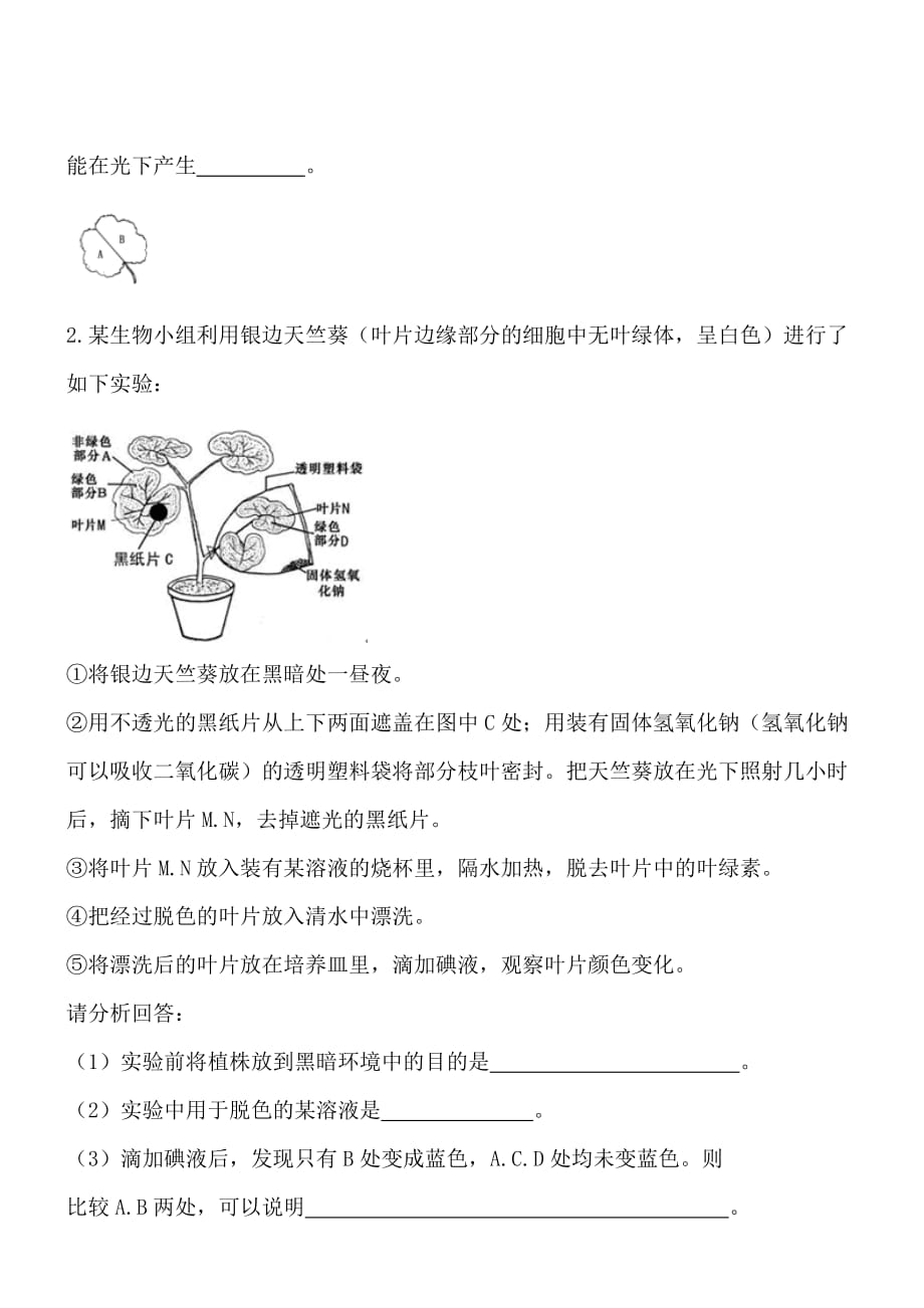 2019年苏教版七年级上生物6-3植物光合作用的实质同步练习【含答案】_第4页