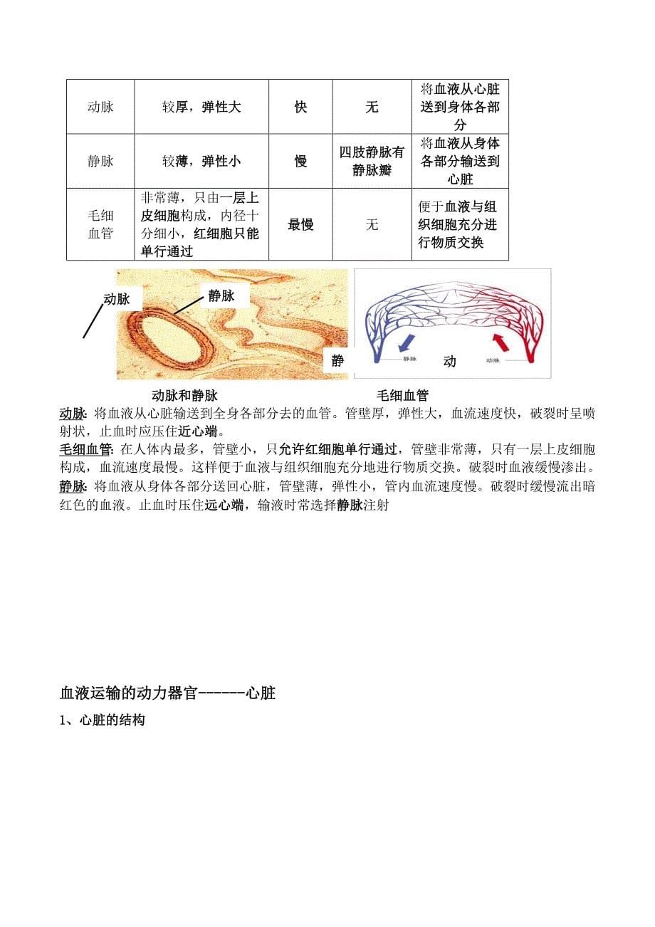 2014——2015年北师大版生物七年级下册期末复习提纲(最新版)_第5页