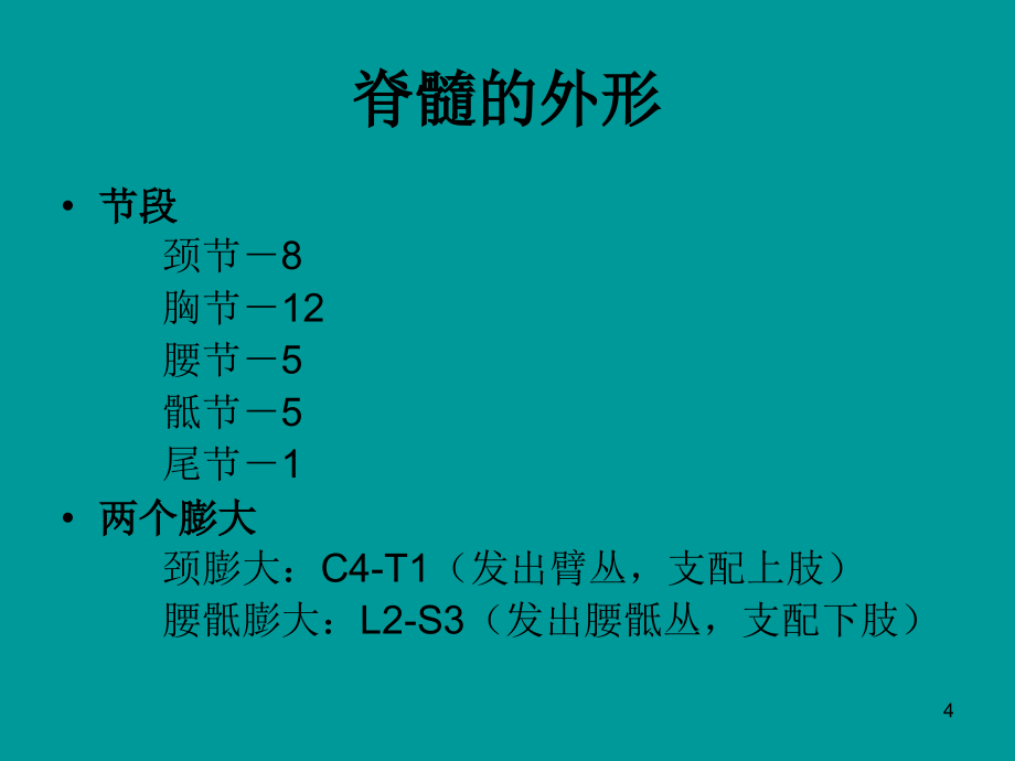 中枢神经系统解剖-文档资料_第4页