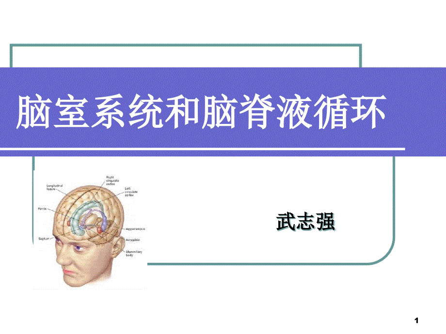 脑室系统及脑脊液循环-文档资料_第1页