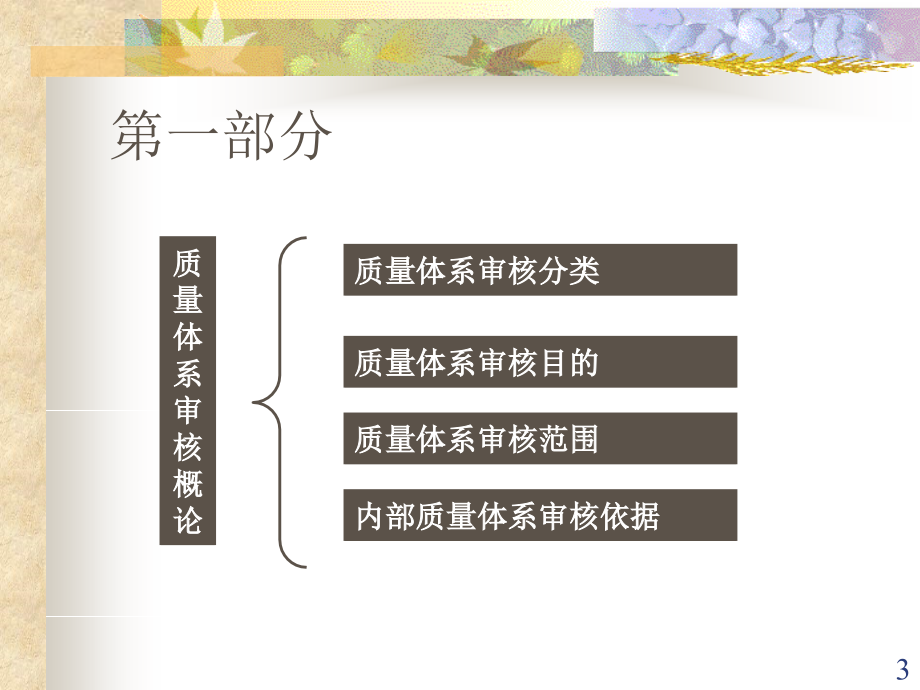 ISO9000系列培训教材内部质量体系审核精编版_第3页